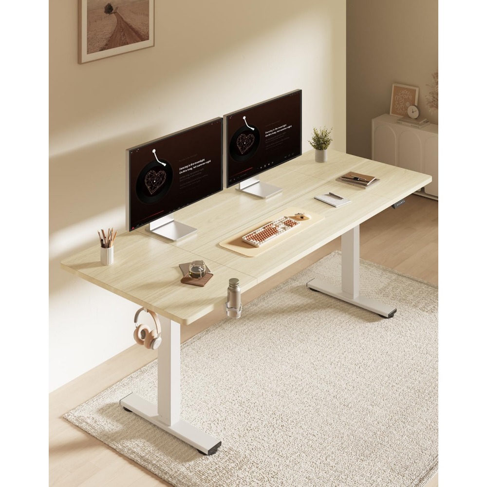 FLEXISPOT Escritorio Eléctrico - Setup Desk Monitor reseña y precio
