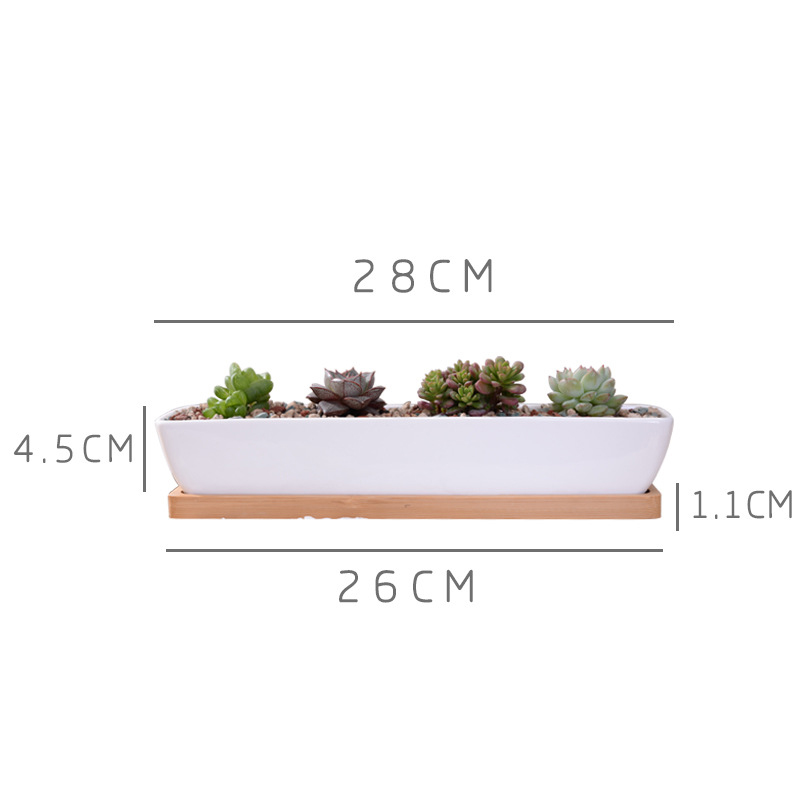 Maceta suculenta de cerámica b - Desk Setup Green reseña y precio